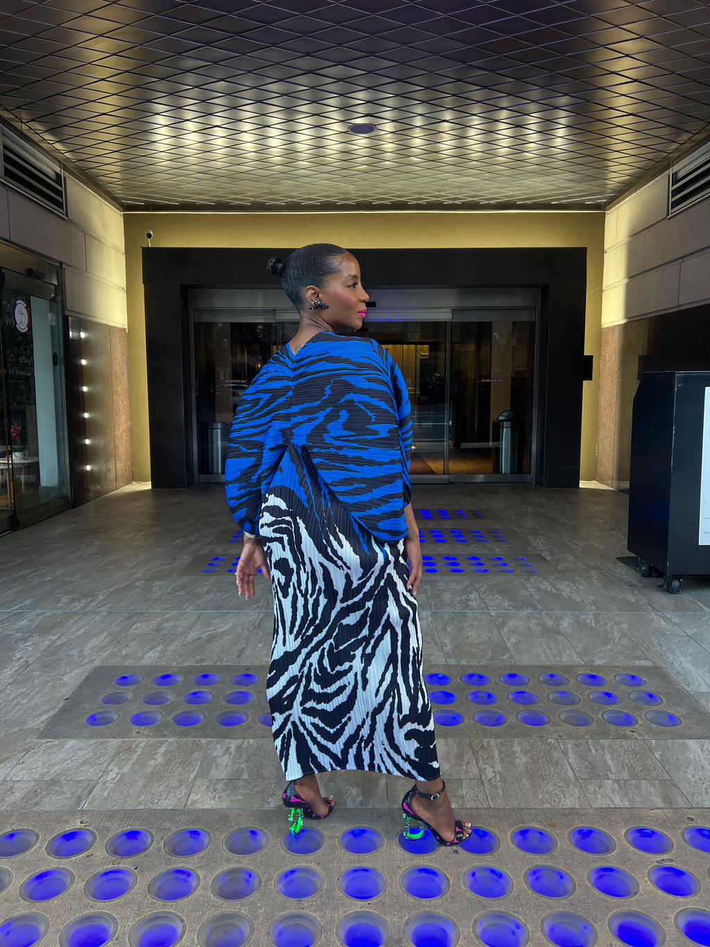Zebra accordion dress 8/15 - The Vault by Sacha