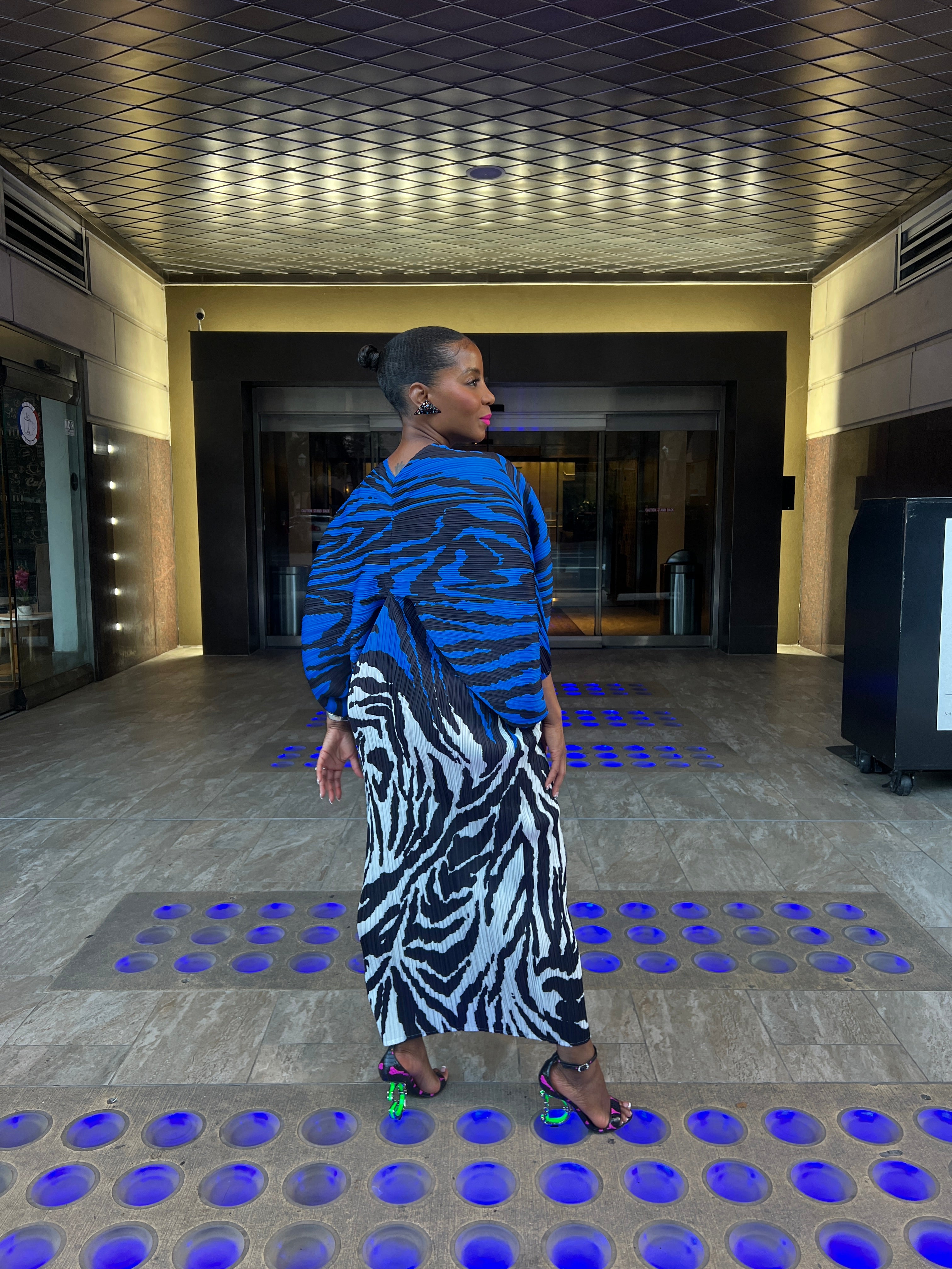 Zebra accordion dress 8/15 - The Vault by Sacha
