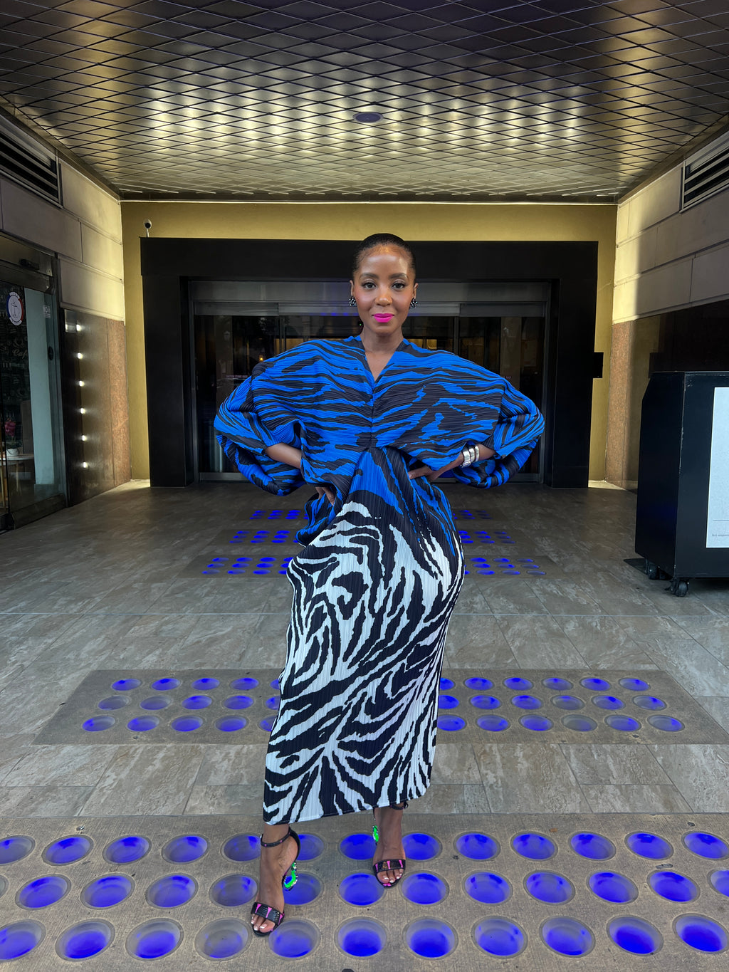 Zebra accordion dress 8/15 - The Vault by Sacha