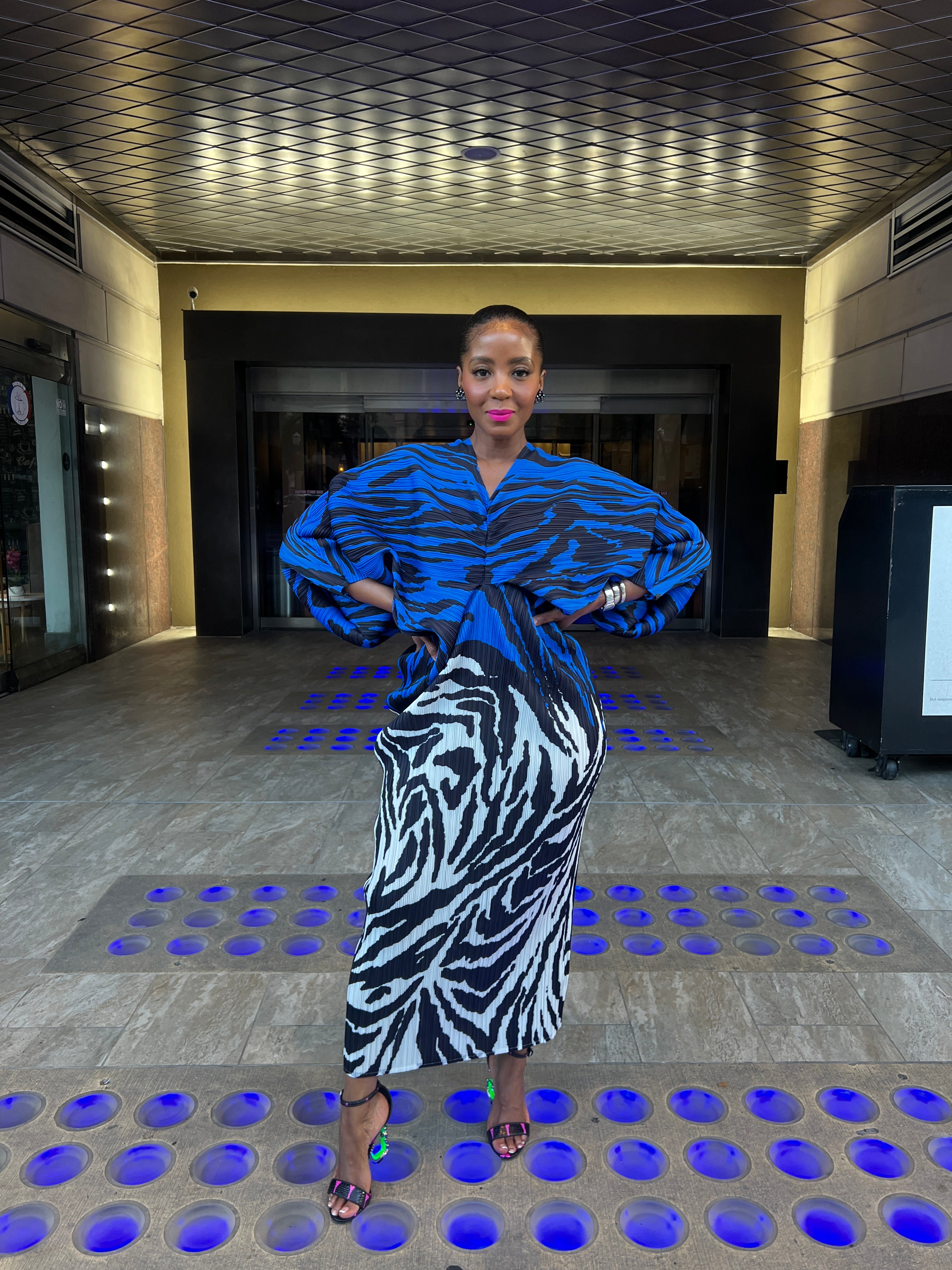 Zebra accordion dress 8/15 - The Vault by Sacha