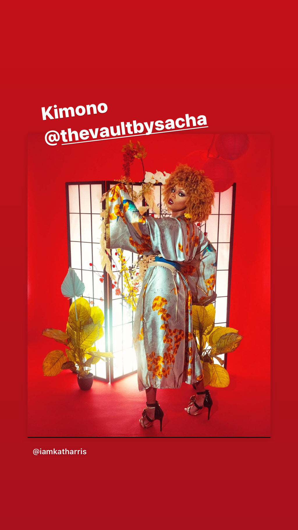 Japanese Ink-Cherry blossom kimono👘 - The Vault by Sacha