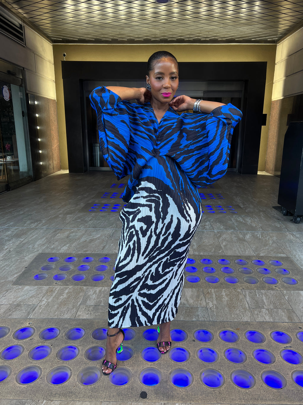 Zebra accordion dress 8/15 - The Vault by Sacha