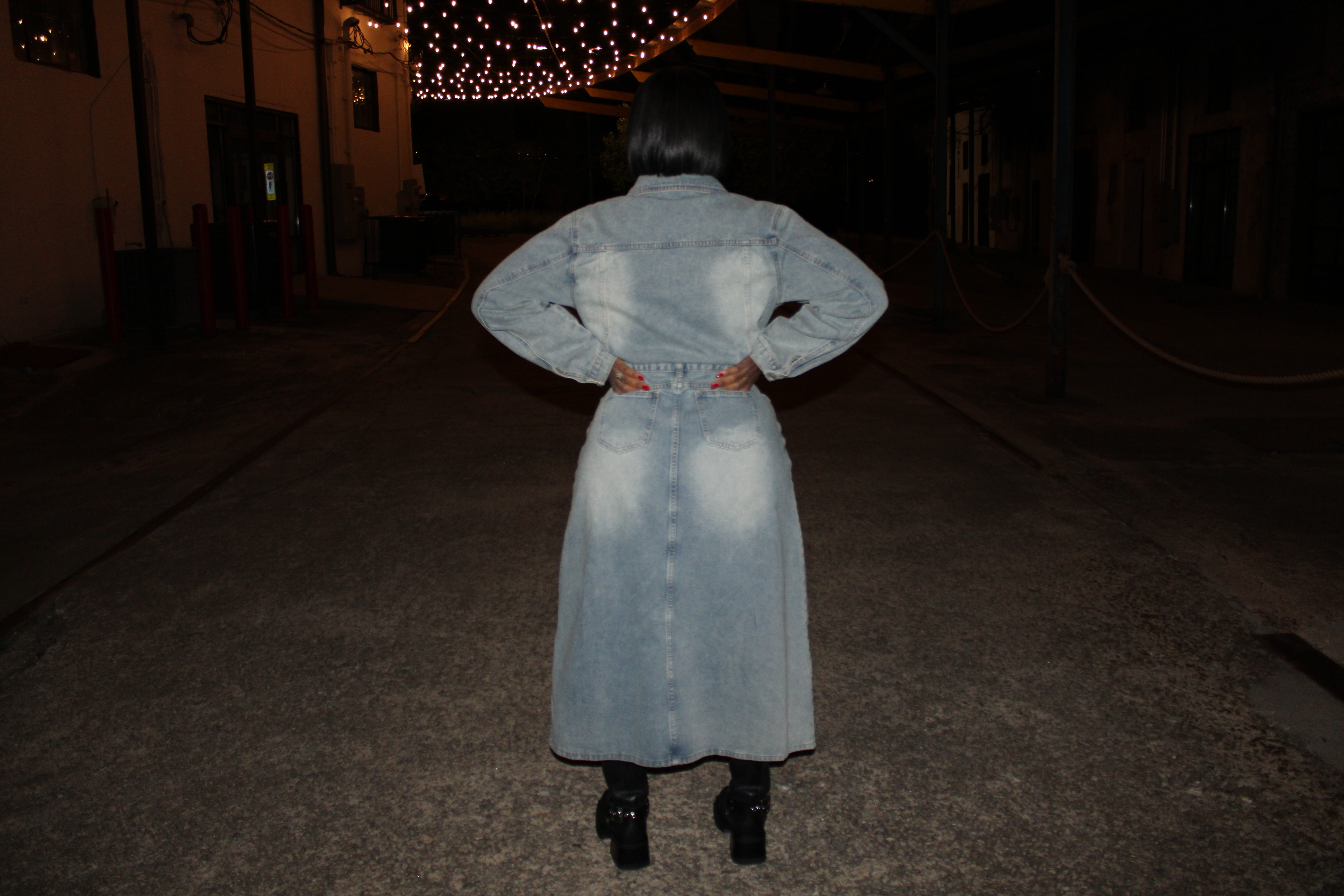 Denim Jumpsuit Dress but