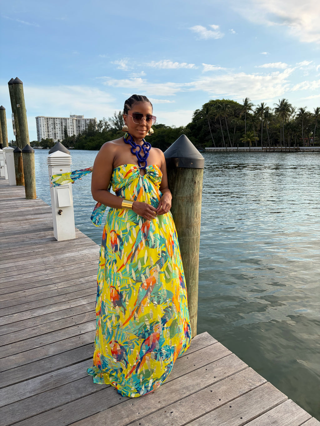 Paradise Muse maxi dress - The Vault by Sacha