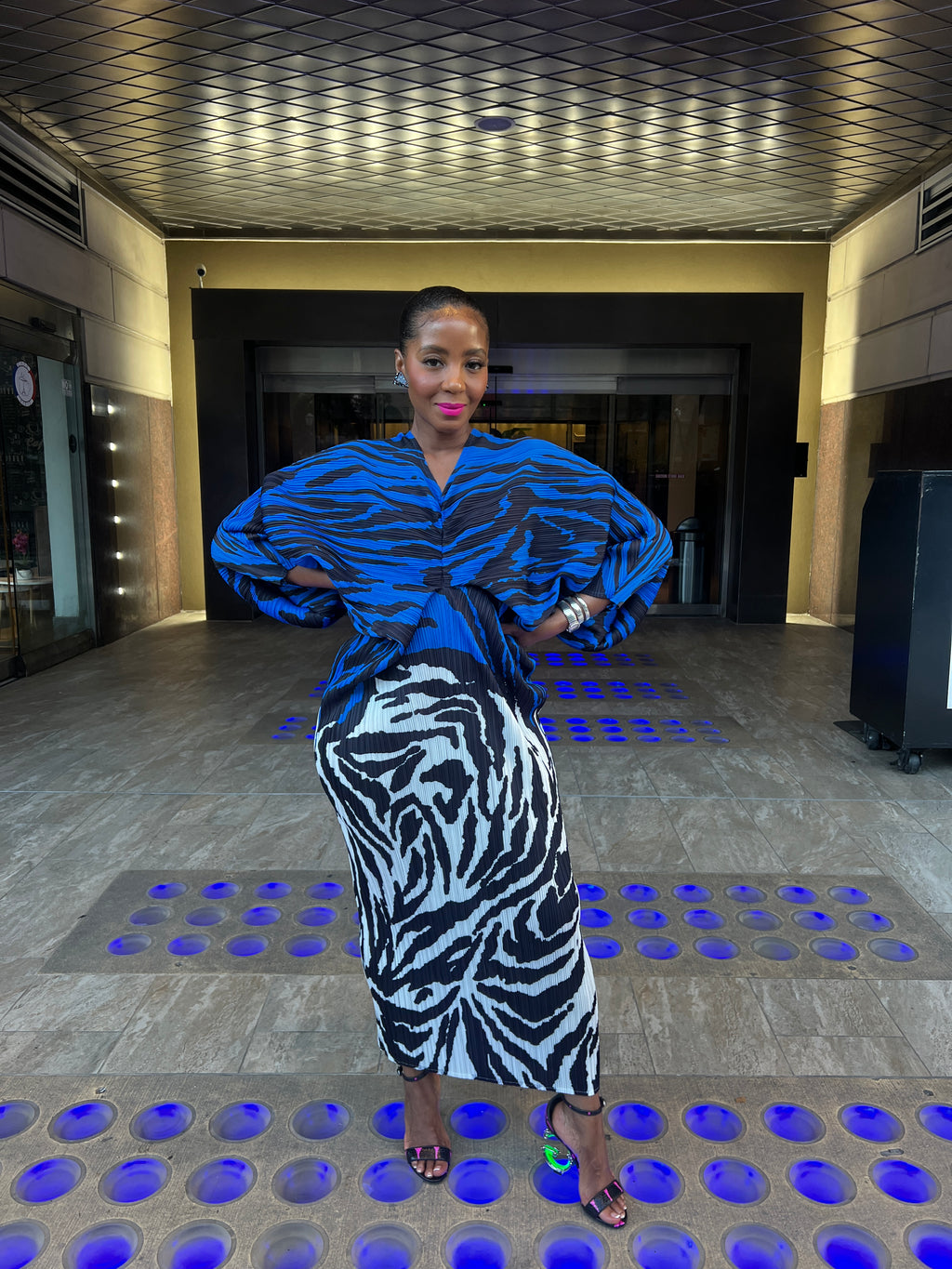 Zebra accordion dress 8/15 - The Vault by Sacha