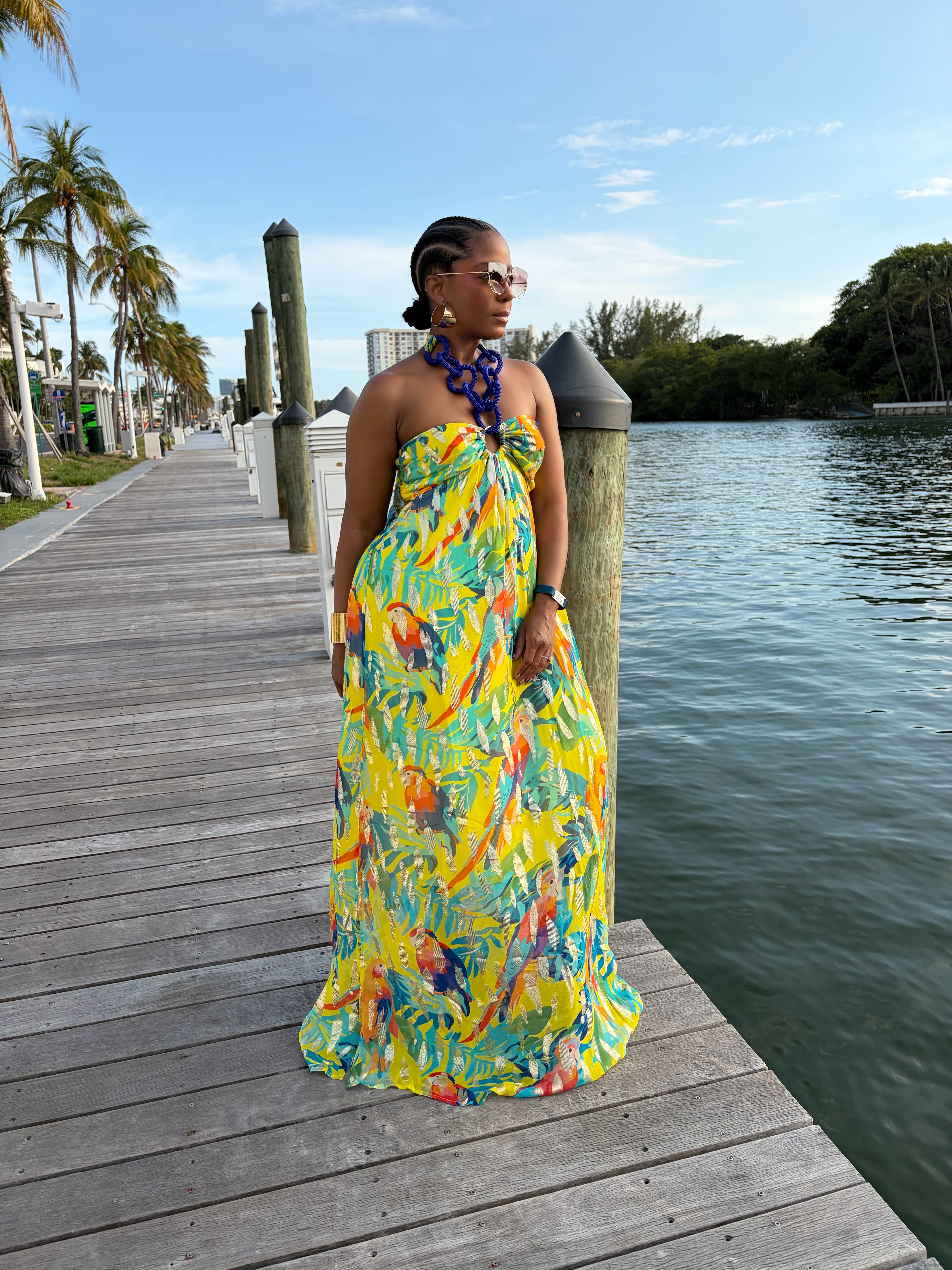 Paradise Muse maxi dress 6/1 The Vault by Sacha Paradise Muse maxi dress 6/1 The Vault by Sacha