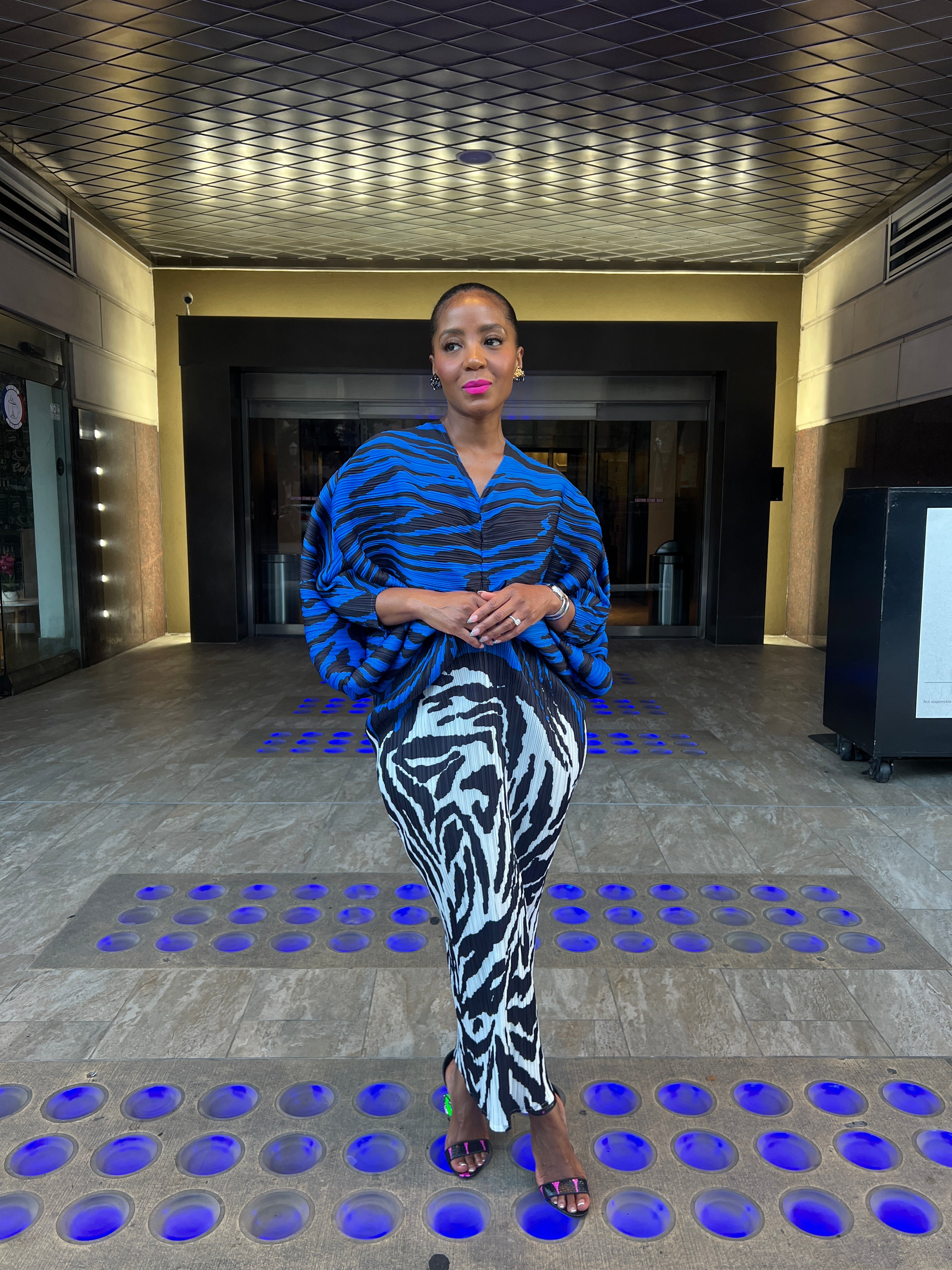 Zebra accordion dress 8/15 - The Vault by Sacha