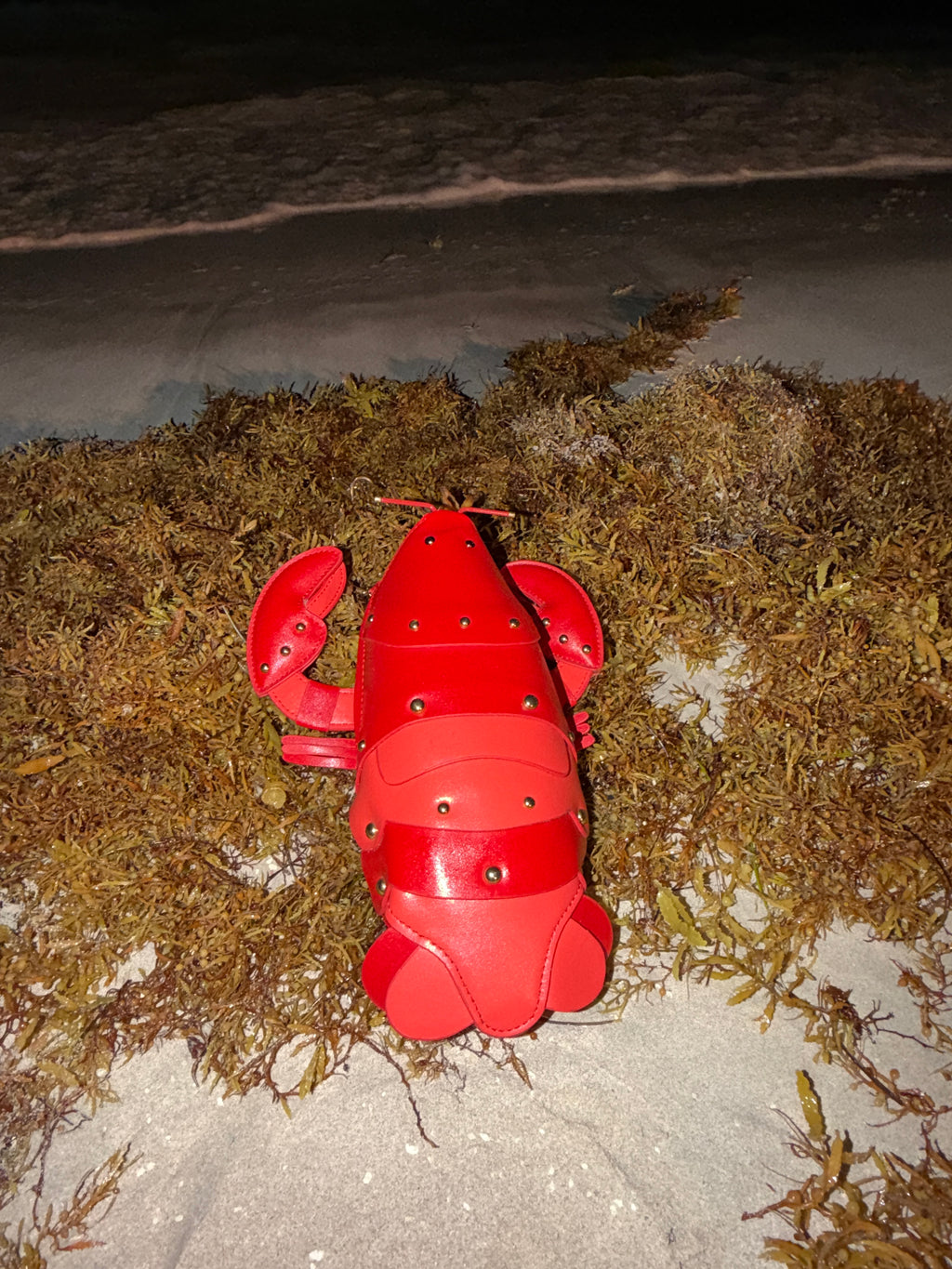 Lobster Bag - The Vault by Sacha