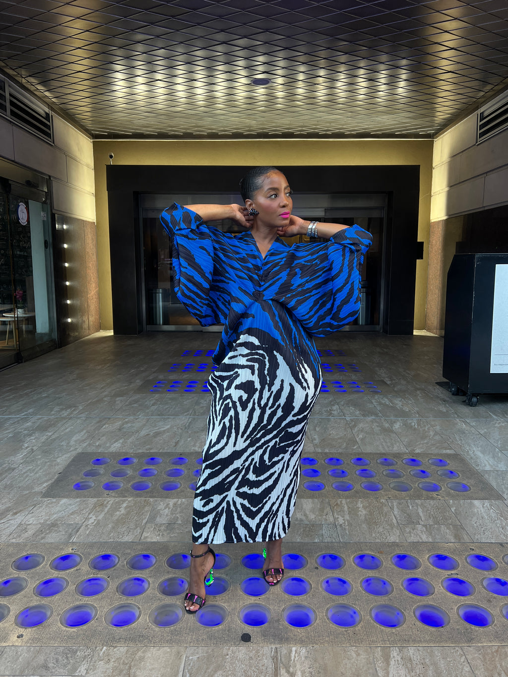Zebra accordion dress 8/15 - The Vault by Sacha