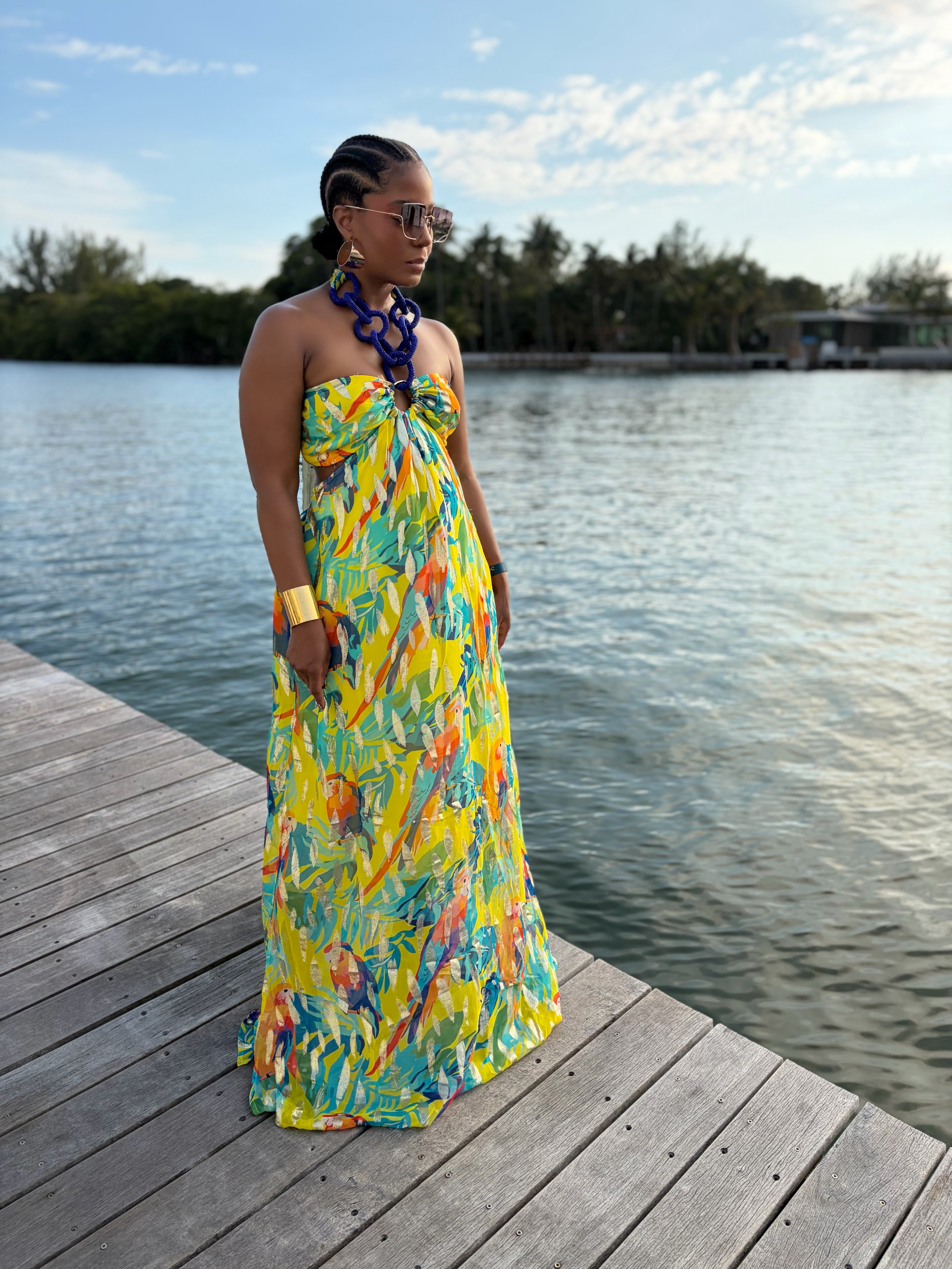 Paradise Muse maxi dress - The Vault by Sacha
