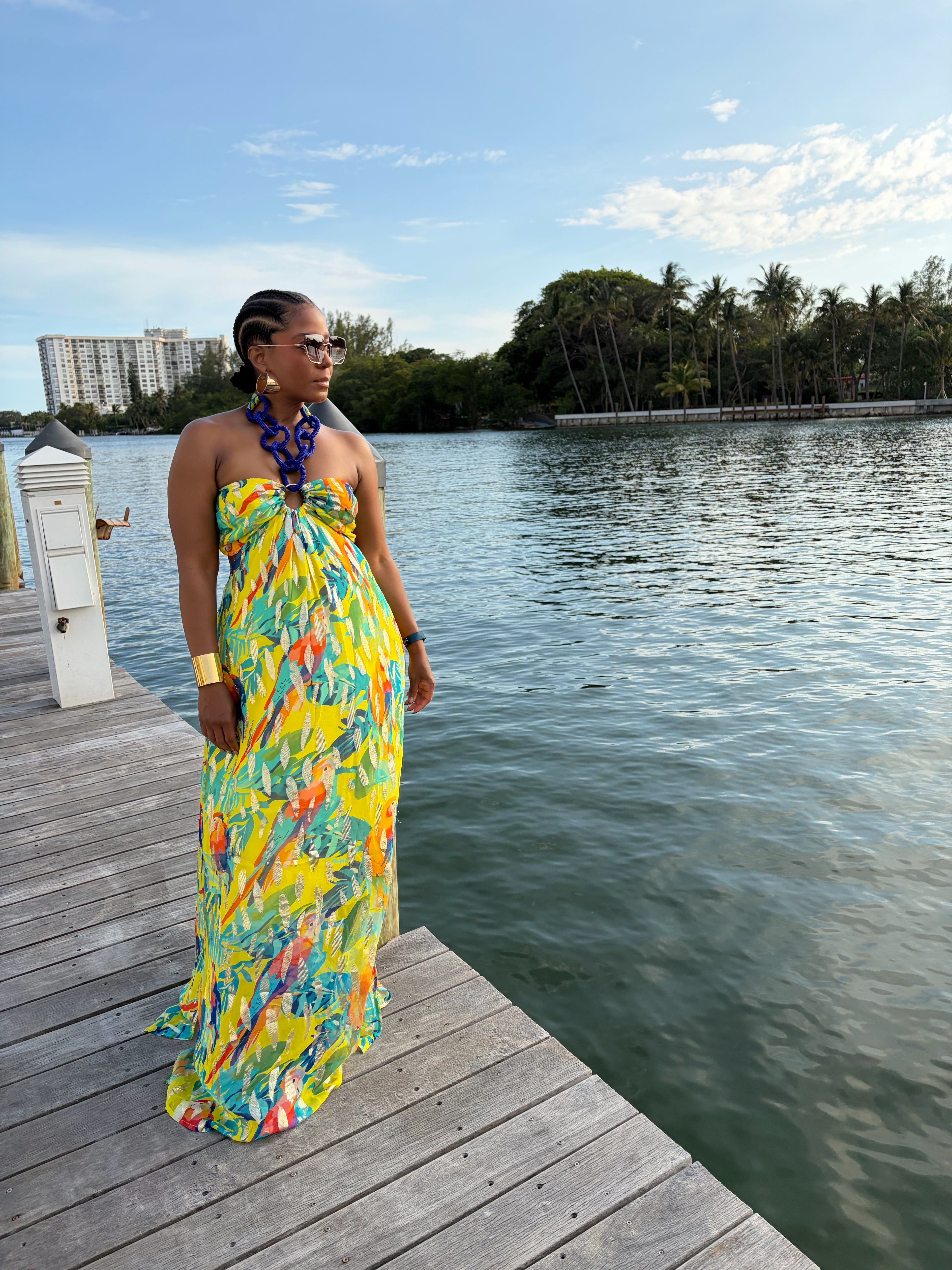 Paradise Muse maxi dress - The Vault by Sacha