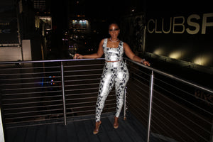 Silver Python Both SOLD separately