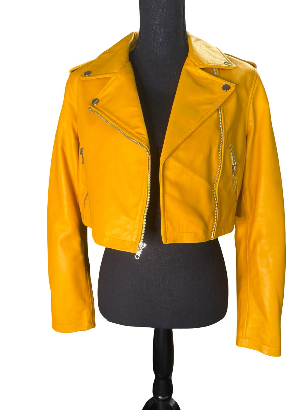 Mustard Moto - The Vault by Sacha