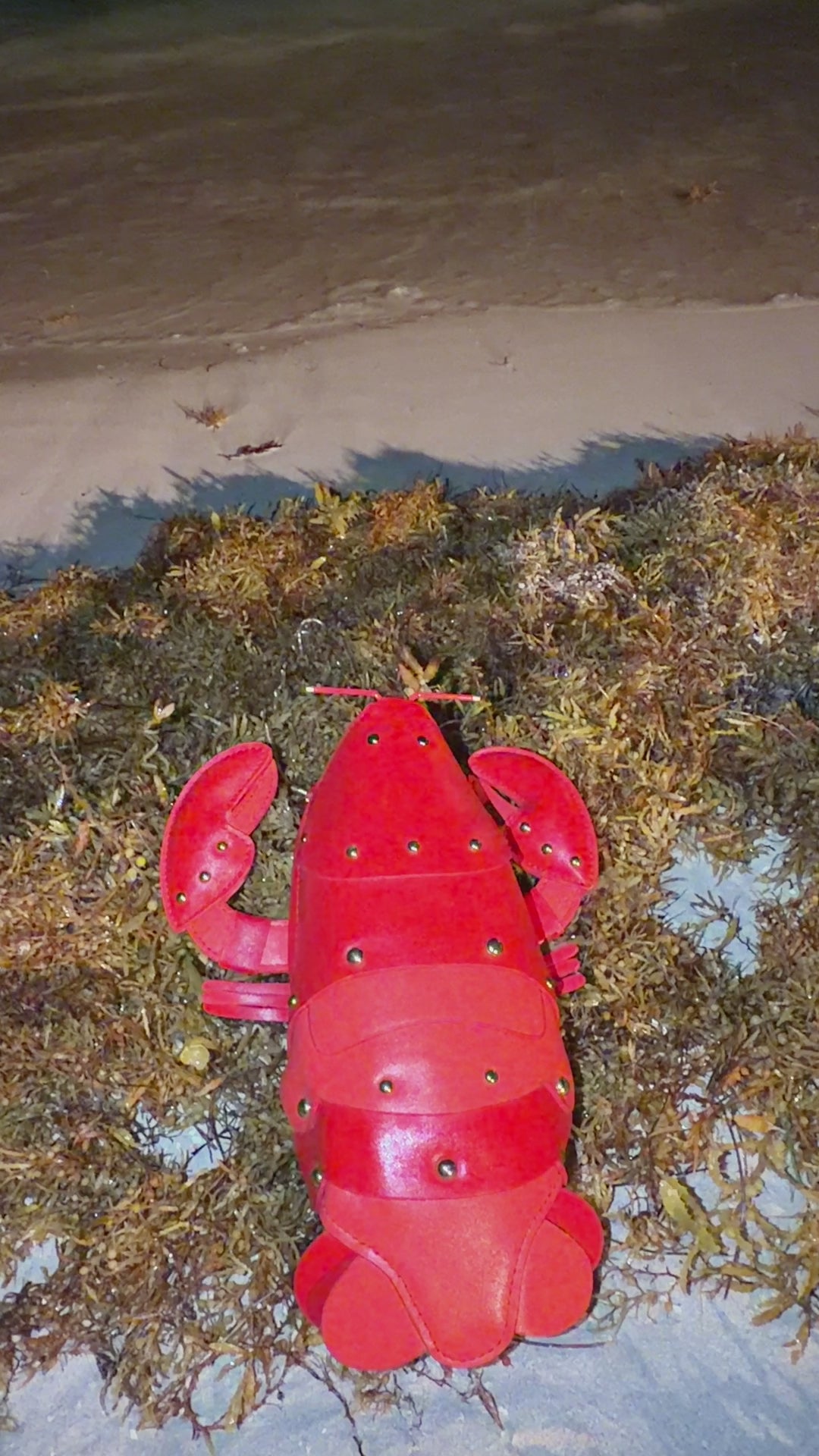 Lobster Bag