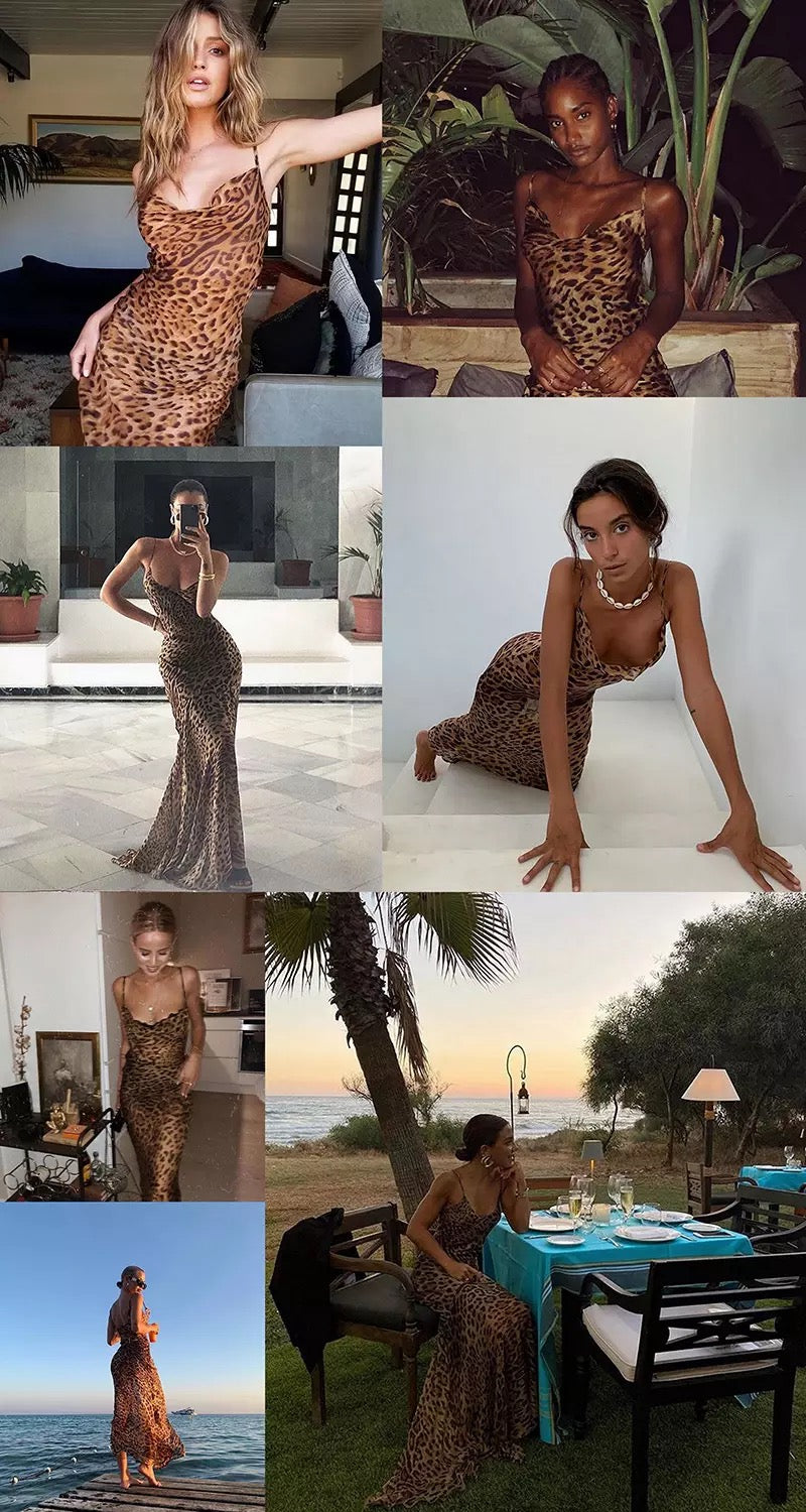 Sheer Leopard dress