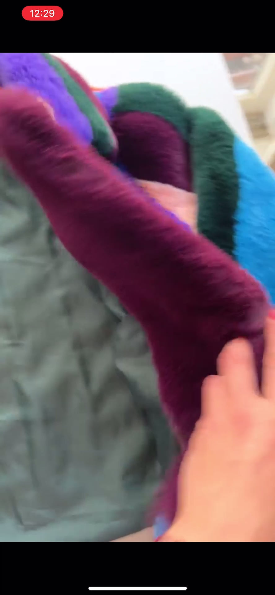 Rainbow fur